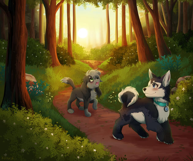Private forest (Commission)